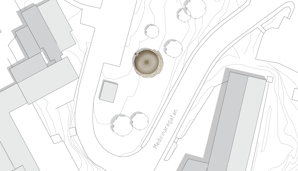 Medicinareberget 1.png